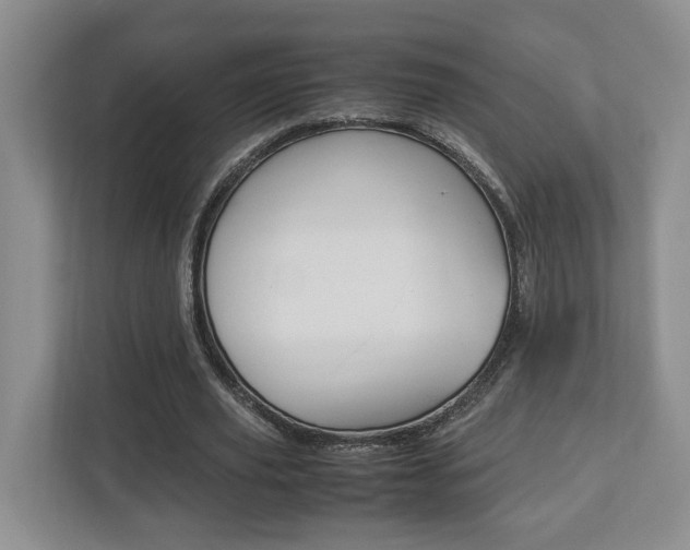 X0000112950629200908241028