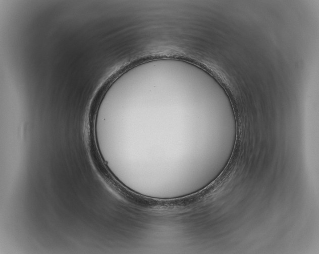 X0000112950630200908241028