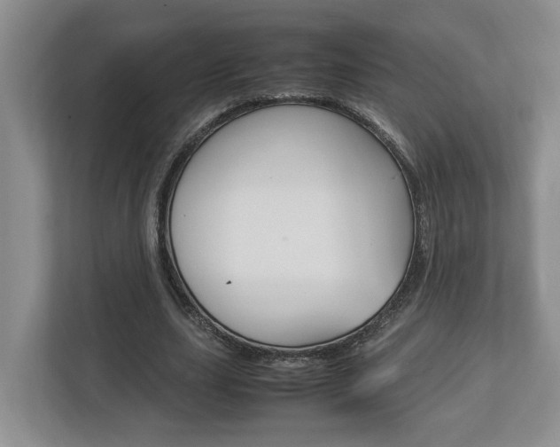 X0000112950631200908241028