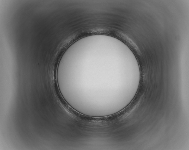 X0000112950633200908241028