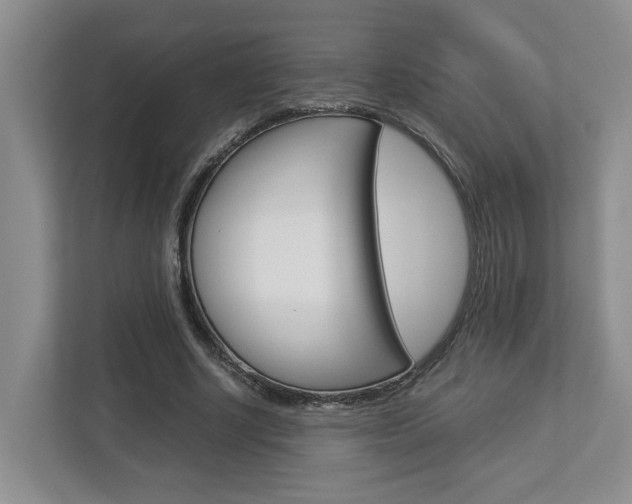 X0000112950634200908241028