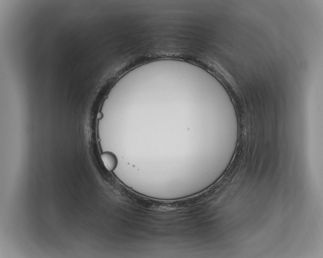 X0000112950635200908241028