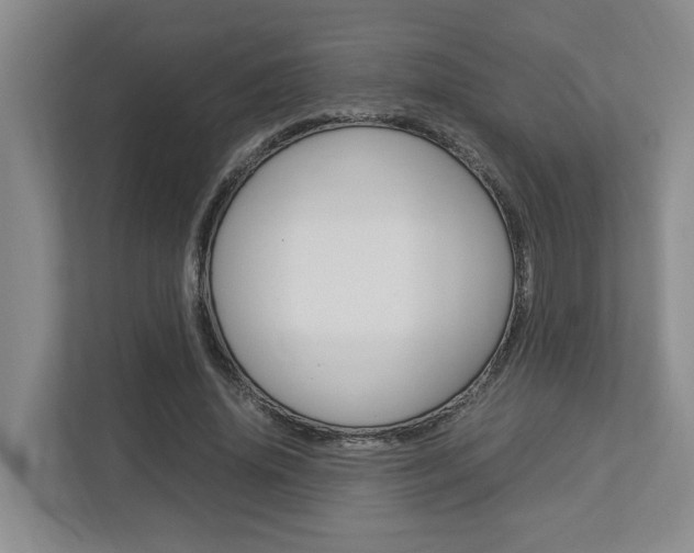 X0000112950636200908241028