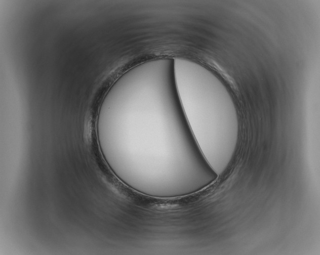 X0000112950637200908241028