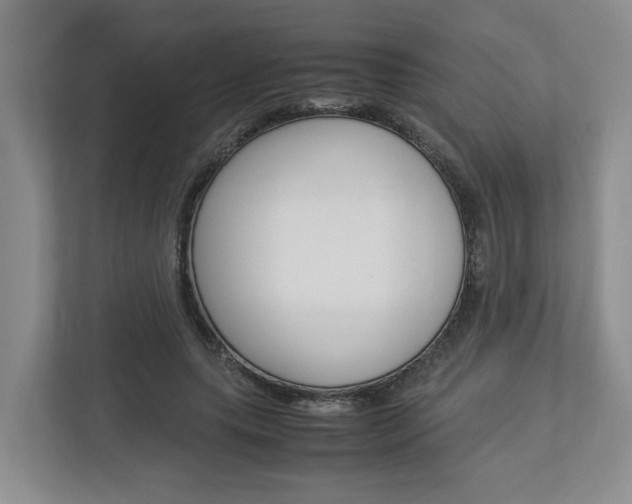 X0000112950639200908241028