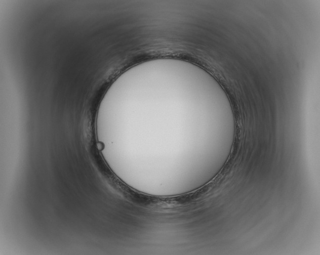 X0000112950642200908241028