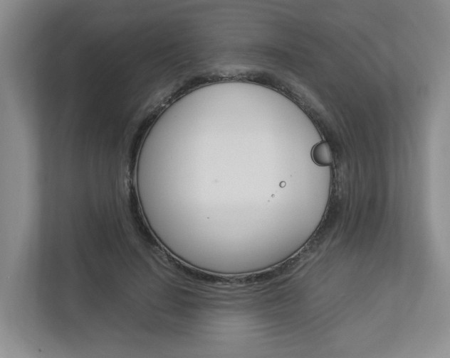 X0000112950644200908241028