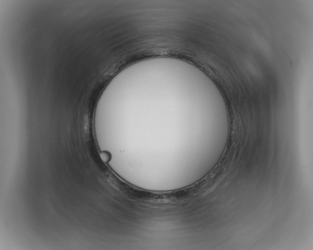 X0000112950646200908241028