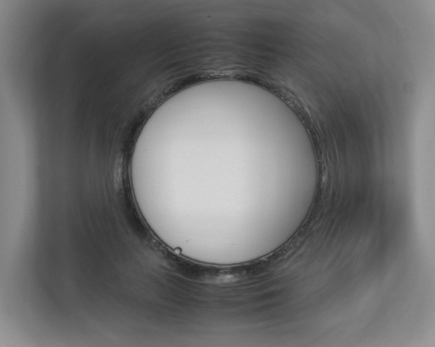 X0000112950647200908241028
