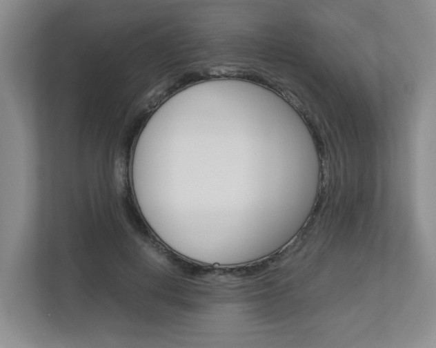 X0000112950648200908241028