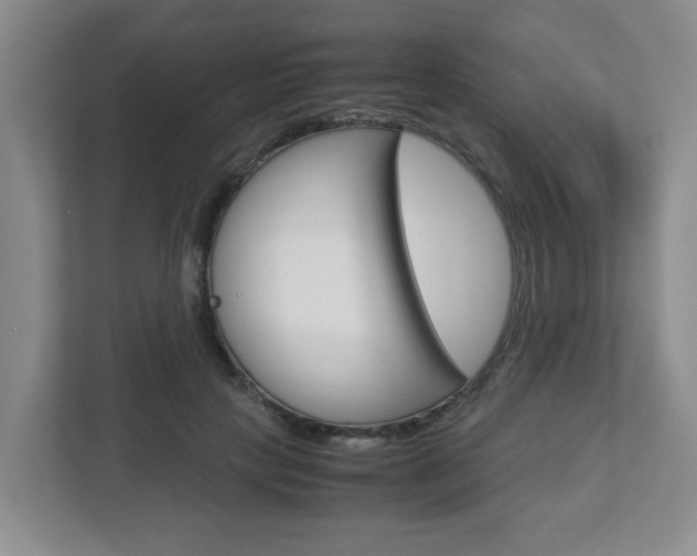 X0000112950649200908241028
