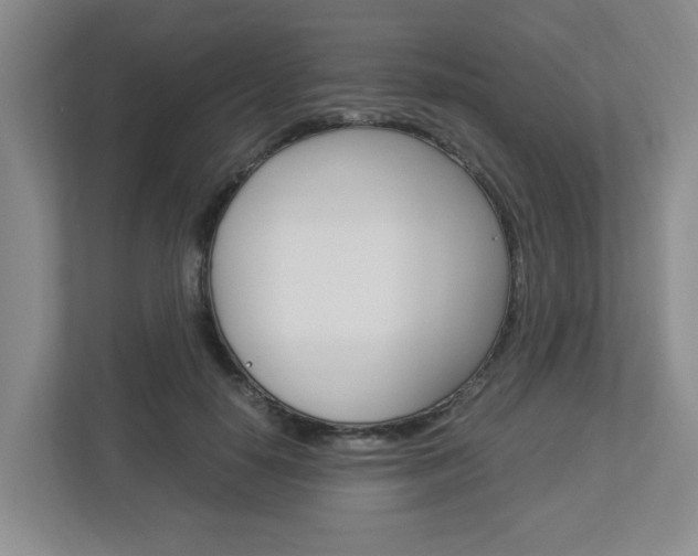 X0000112950650200908241028
