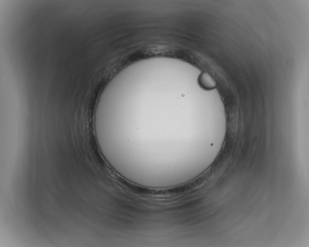X0000112950653200908241028