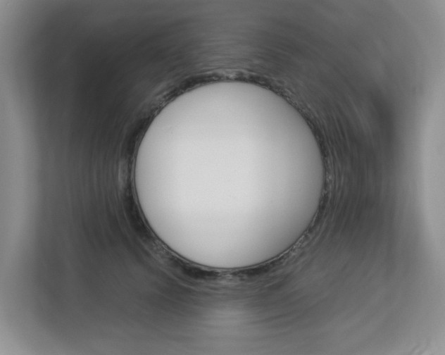 X0000112950656200908241028