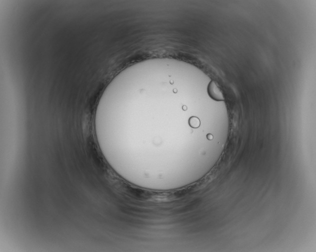 X0000112950659200908241028