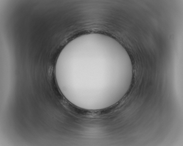 X0000112950660200908241028