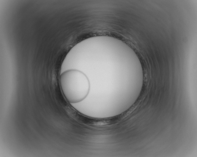 X0000112950662200908241028