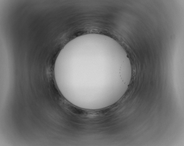 X0000112950663200908241028