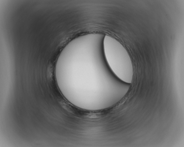 X0000112950664200908241028