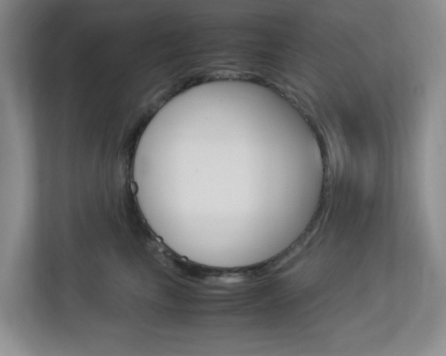 X0000112950665200908241028