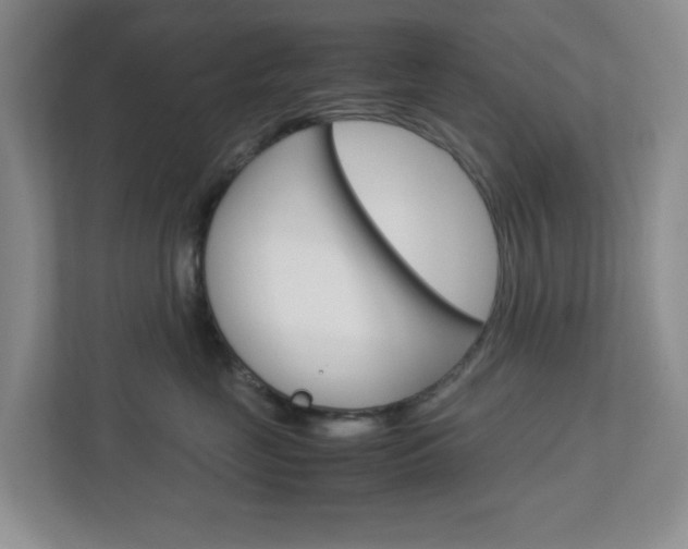 X0000112950669200908241028