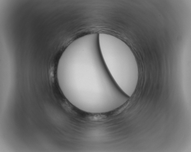 X0000112950670200908241028