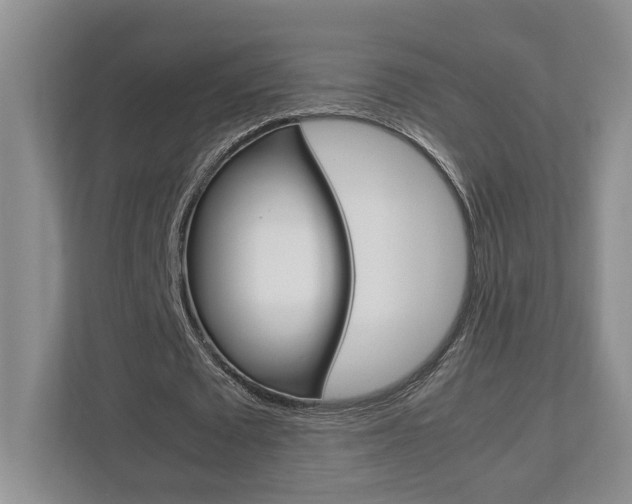 X0000112950673200908241028