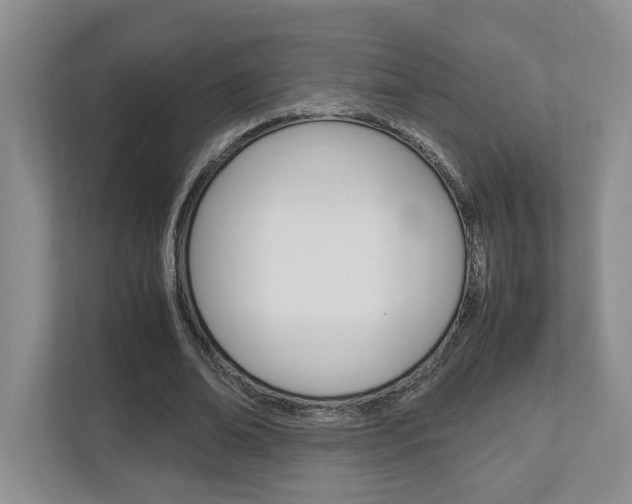X0000112950678200908241027