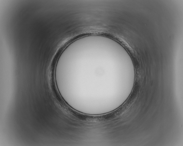 X0000112950679200908241027