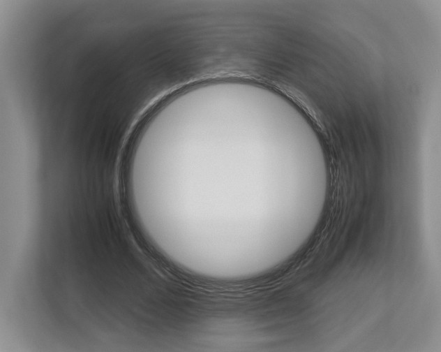 X0000112950680200908241027