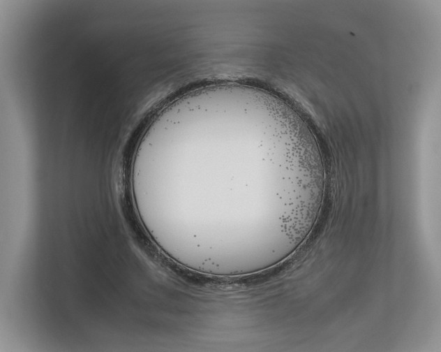X0000112950683200908241027