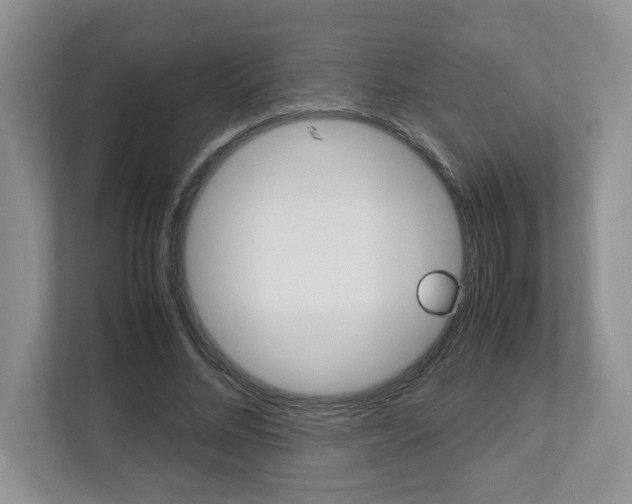 X0000112950684200908241027