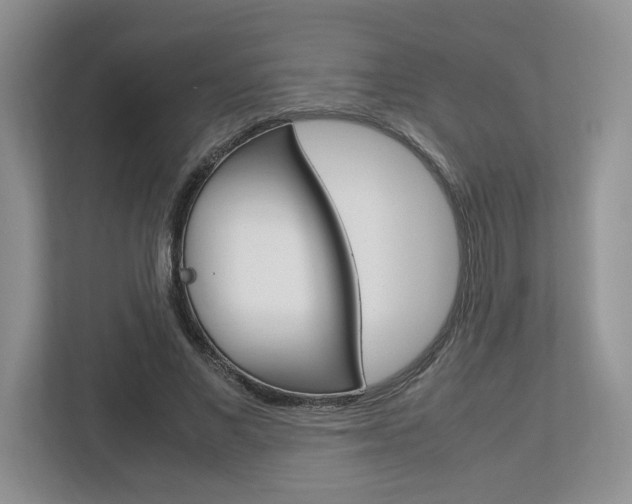 X0000112950685200908241027