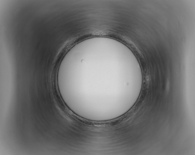 X0000112950686200908241027