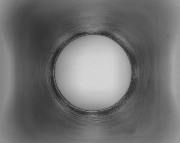 X0000112950687200908241027