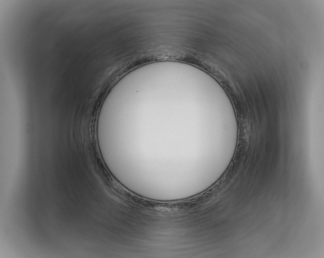 X0000112950690200908241027
