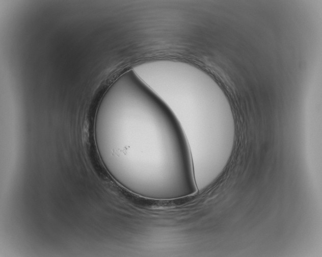X0000112950693200908241027