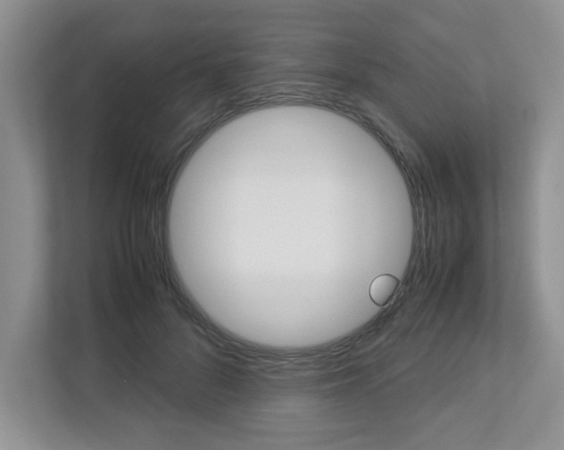 X0000112950696200908241027