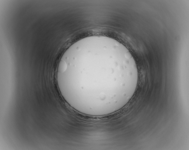 X0000112950698200908241027