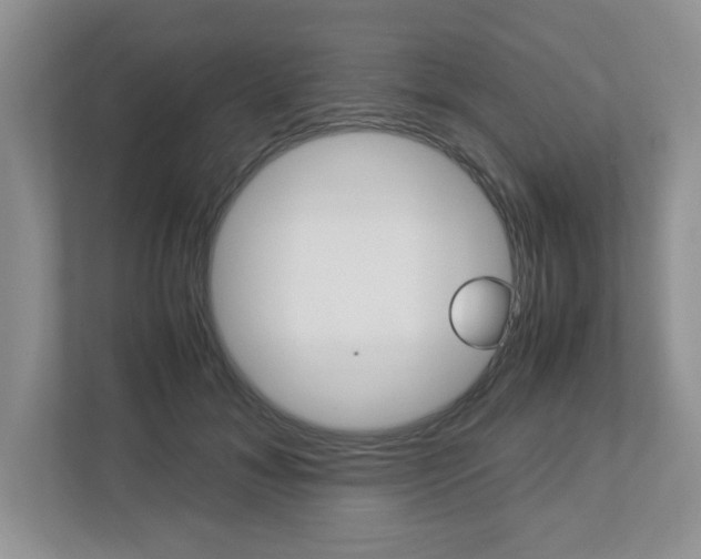 X0000112950700200908241027