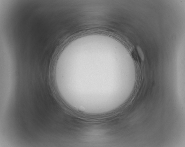 X0000112950701200908241027