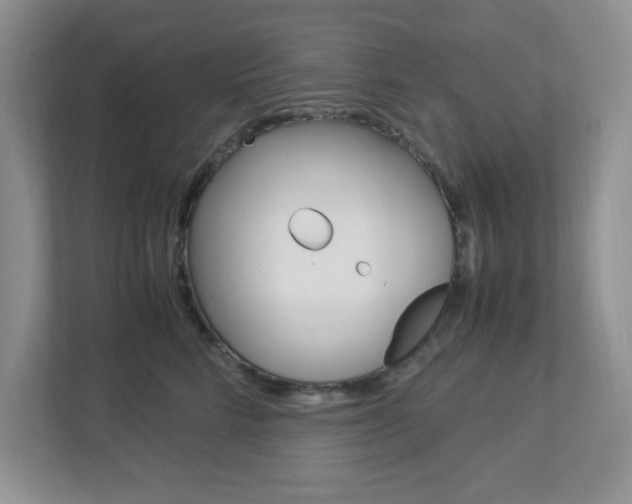 X0000112950712200908241027