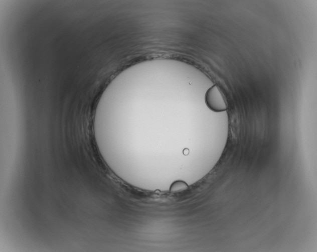 X0000112950714200908241027