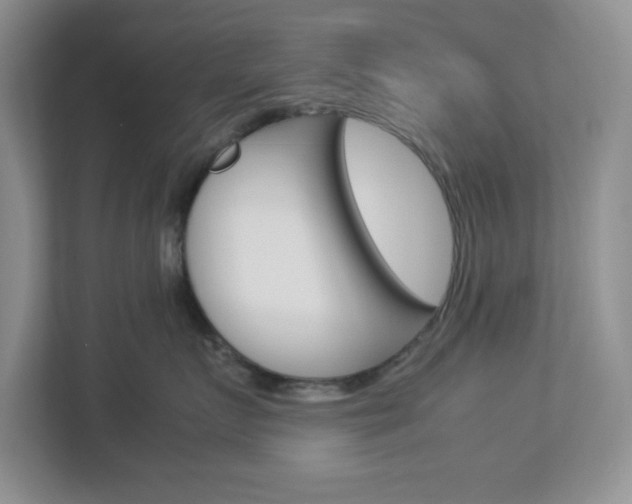 X0000112950719200908241027