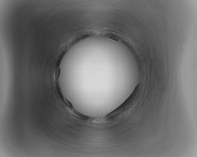 X0000112950720200908241027