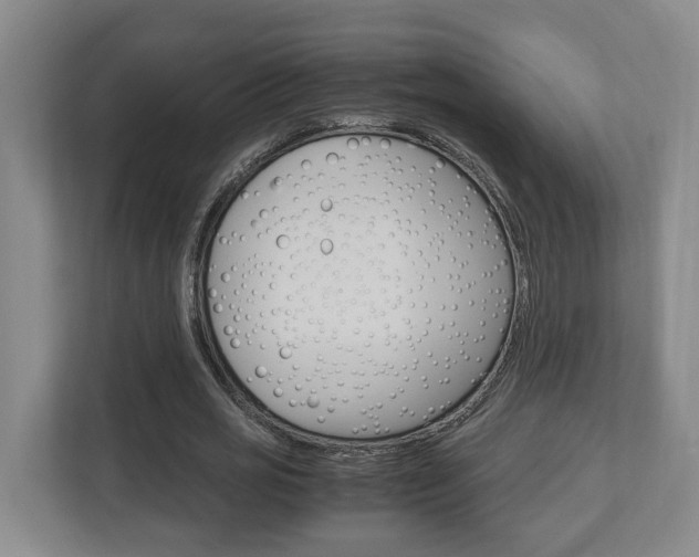 X0000112950725200908241026