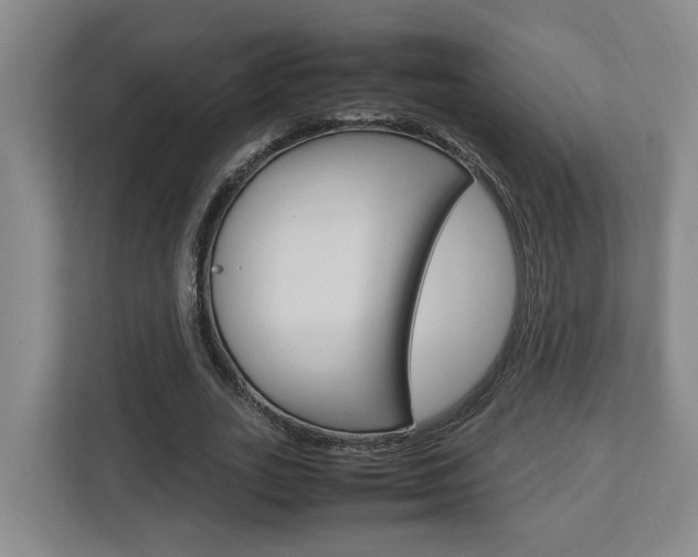 X0000112950727200908241026