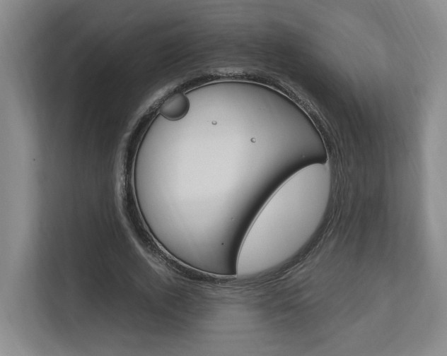 X0000112950728200908241026