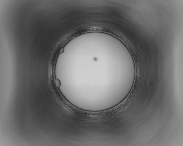 X0000112950733200908241026