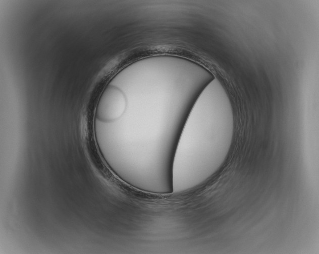 X0000112950734200908241026